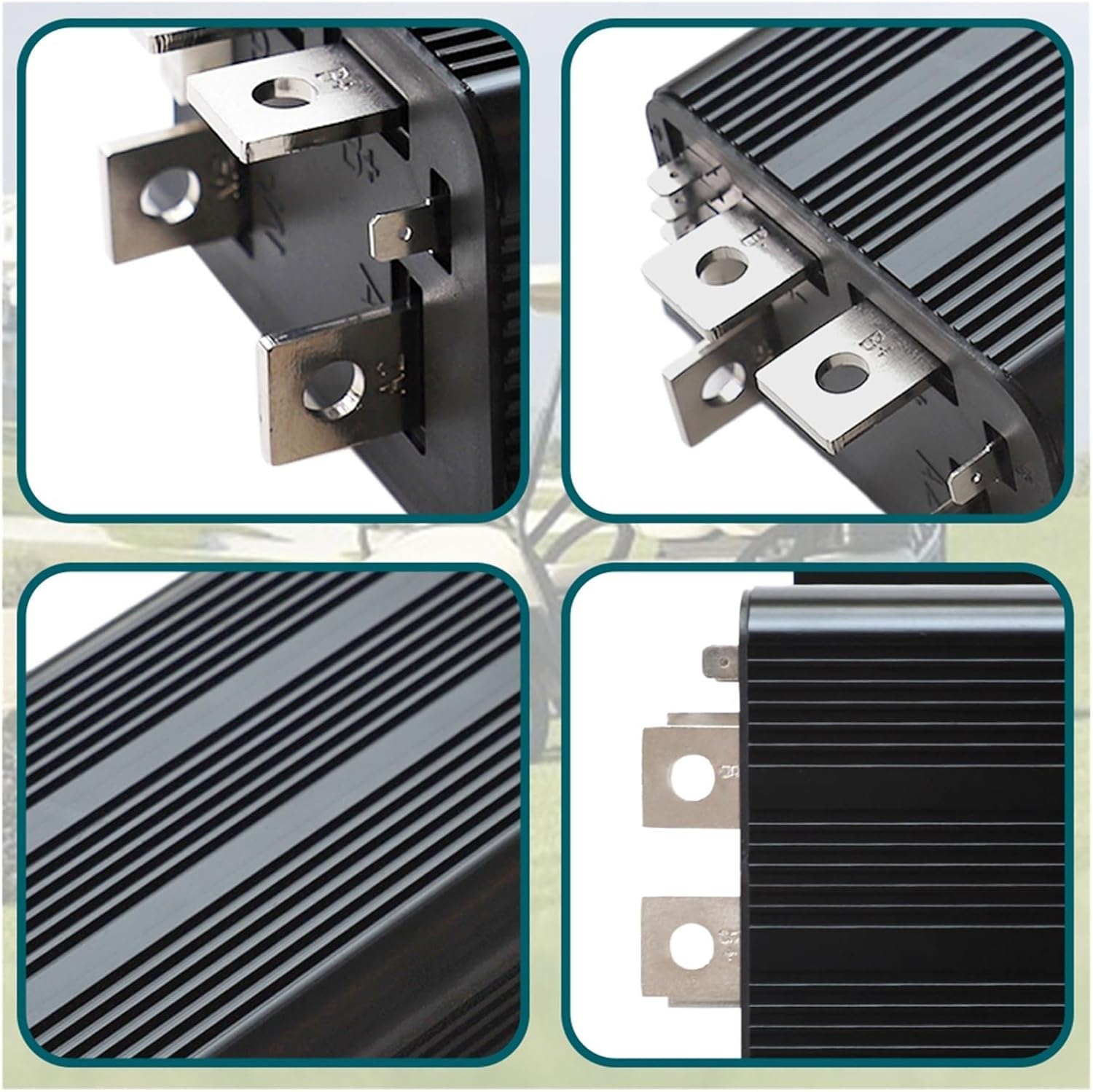 蓋物 乾山 犬山焼 カブ 赤蕪 黒蕪 訳あり 縁欠け 日本製 腰黒 水次